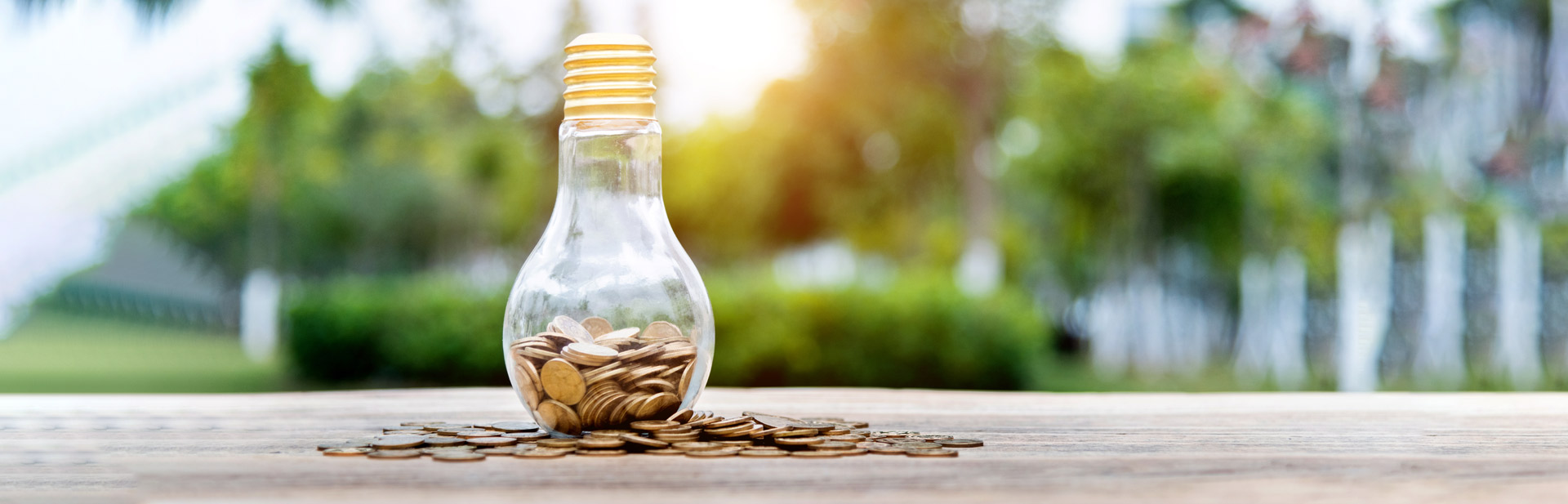 Cut your electricity bills one bulb at a time SA Home Loans